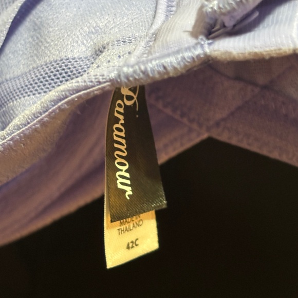 Felina Paramour Marvelous Side Smoothing T Shirt Bra  Underwire Periwinkle 42C - Picture 5 of 7